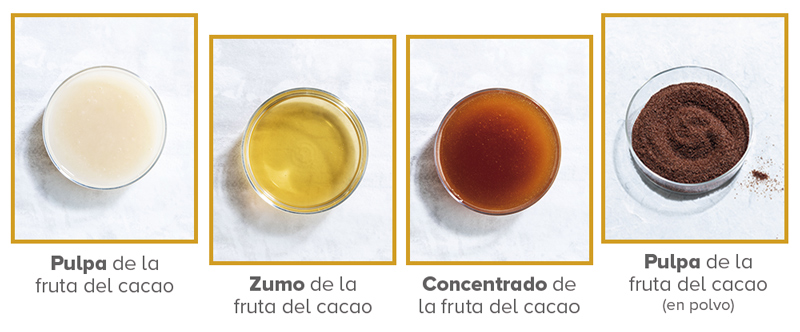 Cabosse Naturals Ingredientes naturales de la fruta del cacao
